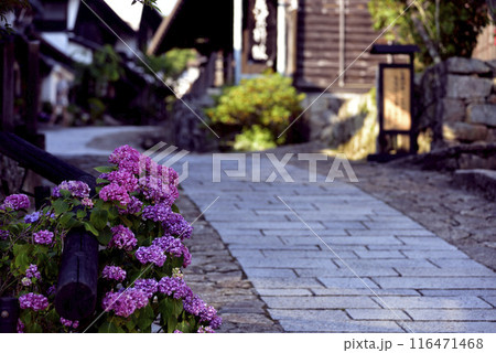紫陽花のある石畳の道 116471468