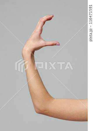 Female hand sign against gray background in studio Female hand sign against gray background in studio 116471591