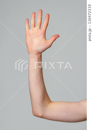 Person With Hand Raised Up in the Air Person With Hand Raised Up in the Air 116472319