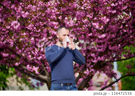 Man allergic suffering from seasonal allergy at spring in blossoming garden at springtime. Man sneezing and blowing nose using nasal handkerchief in front of blooming tree. Spring allergy concept. Man allergic suffering from seasonal allergy at spring in blossoming garden at springtime. Man sneezing and blowing nose using nasal handkerchief in front of blooming tree. Spring allergy concept. 116472538