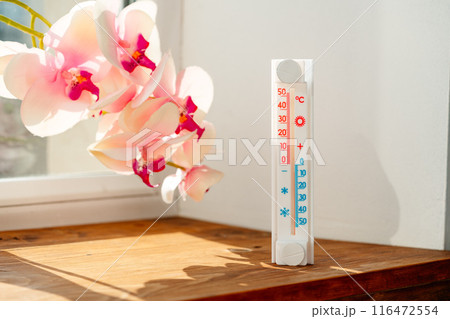 White Thermometer Shows Room Temperature In Degrees Celsius Near Pink Orchid Flowers 116472554