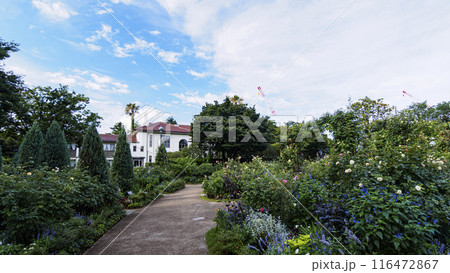 神奈川県横浜市港の見える丘公園(フランス山庭園・横浜市イギリス館・山手111番館) 神奈川県横浜市港の見える丘公園(フランス山庭園・横浜市イギリス館・山手111番館) 116472867