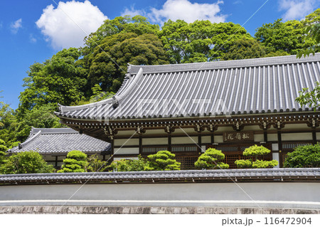 円覚寺の松嶺院 円覚寺の松嶺院 116472904