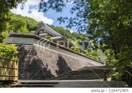 円覚寺の松嶺院 円覚寺の松嶺院 116472905