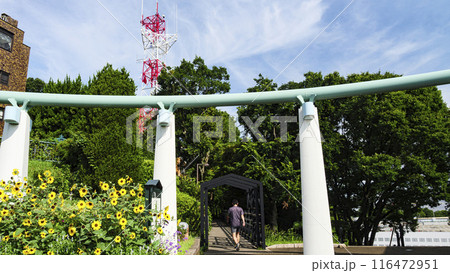 公園にある旗 公園にある旗 116472951