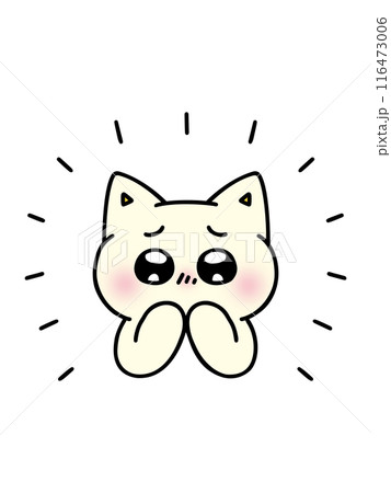 目をキラキラ輝かせて感動する猫 目をキラキラ輝かせて感動する猫 116473006