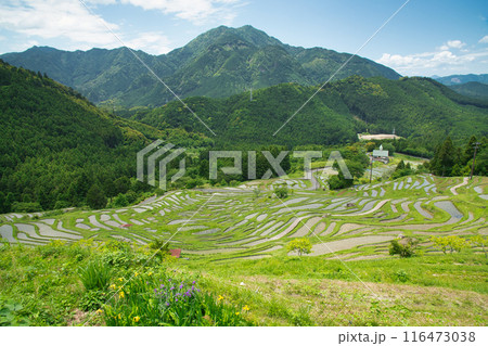 丸山千枚田　【三重県熊野市紀和町】 116473038
