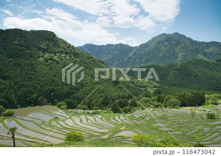 丸山千枚田　【三重県熊野市紀和町】 116473042