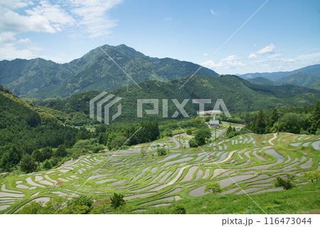 丸山千枚田　【三重県熊野市紀和町】 116473044