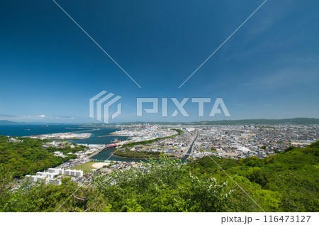 高津子山展望台から和歌山市街を望む　【和歌山県和歌山市】 116473127