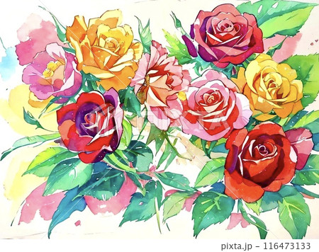 カラフルな薔薇の水彩イラスト 116473133