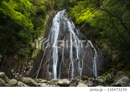 落打の滝　【三重県紀宝町桐原】 116473239