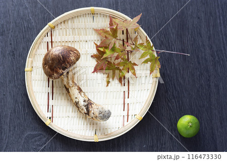 秋の味覚、松茸 116473330