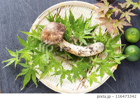秋の味覚、松茸 秋の味覚、松茸 116473342