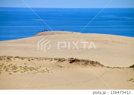 鳥取砂丘・山陰海岸国立公園（鳥取県・鳥取市） 116473412