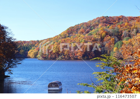 紅葉の裏磐梯 小野川湖 紅葉の裏磐梯 小野川湖 116473507