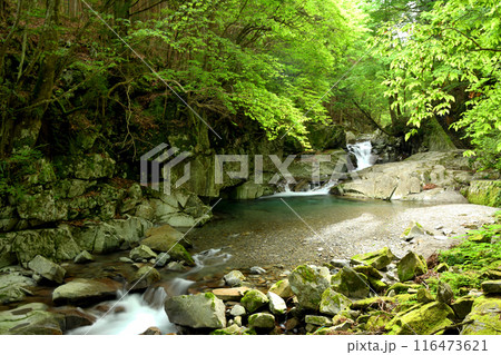 かじかの滝 【奈良県天川村】 かじかの滝 【奈良県天川村】 116473621