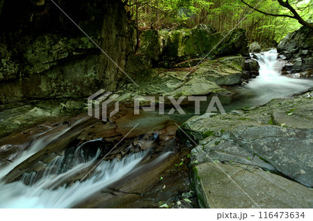 かじかの滝 【奈良県天川村】 かじかの滝 【奈良県天川村】 116473634