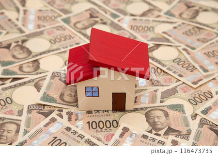 住宅と大量の一万円札（新紙幣） 116473735