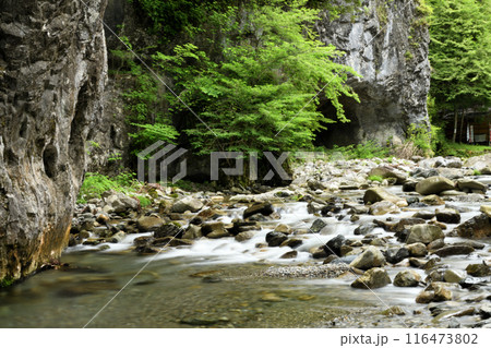 蟷螂の岩屋(蟷螂窟) 【奈良県天川村】 蟷螂の岩屋(蟷螂窟) 【奈良県天川村】 116473802