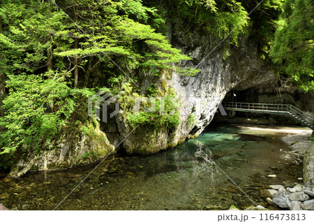 蟷螂の岩屋(蟷螂窟) 【奈良県天川村】 蟷螂の岩屋(蟷螂窟) 【奈良県天川村】 116473813