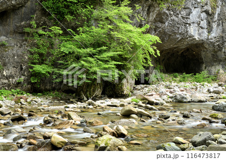 蟷螂の岩屋(蟷螂窟) 【奈良県天川村】 蟷螂の岩屋(蟷螂窟) 【奈良県天川村】 116473817