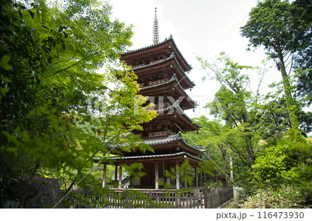 海住山寺(五重塔) 【京都府木津川市加茂町】 海住山寺(五重塔) 【京都府木津川市加茂町】 116473930