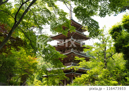 海住山寺(五重塔)　【京都府木津川市加茂町】 116473933