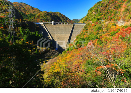 【兵庫県】快晴の長谷ダムと紅葉 116474055