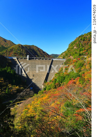 【兵庫県】快晴の長谷ダムと紅葉 【兵庫県】快晴の長谷ダムと紅葉 116474059