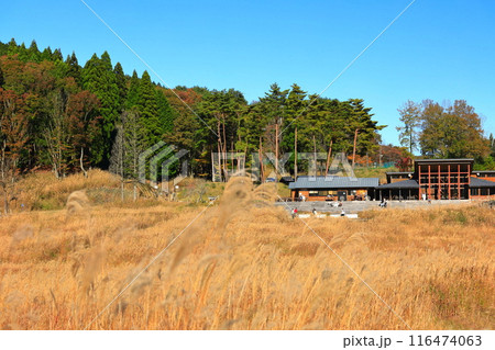 【兵庫県】とのみね自然交流館とススキ 【兵庫県】とのみね自然交流館とススキ 116474063