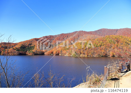 紅葉の裏磐梯 小野川湖 紅葉の裏磐梯 小野川湖 116474119