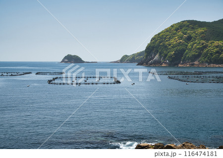 二木島湾を望む(笹野島) 【三重県熊野市二木島町】 二木島湾を望む(笹野島) 【三重県熊野市二木島町】 116474181