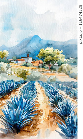 Watercolor illustration of blue agave farm 116474328