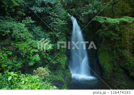サイメン滝　【奈良県十津川村果無】 116474383