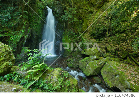 サイメン滝　【奈良県十津川村果無】 116474386