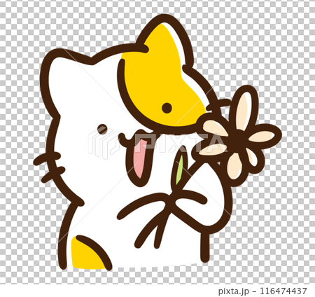 A cute cat character happily handing over a single flower 116474437