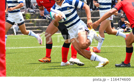 ラグビー、高校ラグビー 116474600