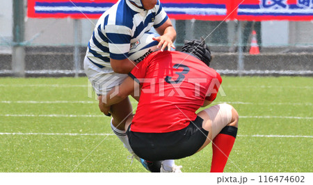 ラグビー、高校ラグビー 116474602