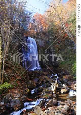 紅葉の裏磐梯　小野川不動滝 116474785