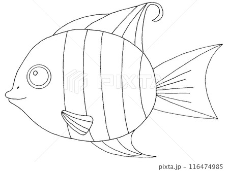 シンプルな魚のイラスト線画 シンプルな魚のイラスト線画 116474985