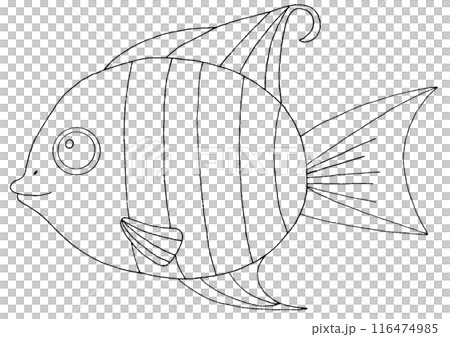 シンプルな魚のイラスト線画 シンプルな魚のイラスト線画 116474985
