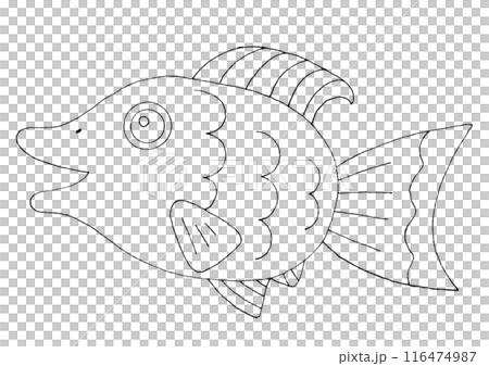 Simple fish illustration line drawing 116474987