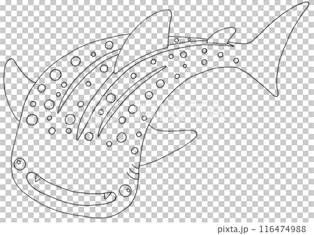 Simple whale shark illustration line drawing Simple whale shark illustration line drawing 116474988