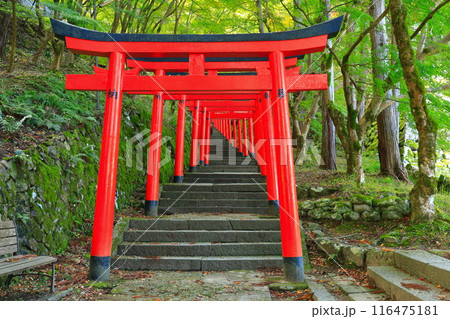 【兵庫県】快晴の出石城の鳥居 116475181