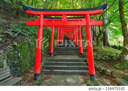 【兵庫県】快晴の出石城の鳥居 116475182