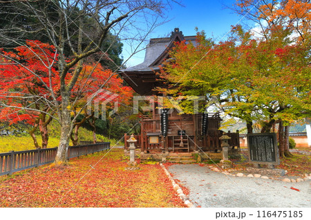 【兵庫県】快晴の出石城の紅葉（感応殿） 116475185