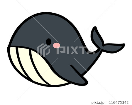 かわいいクジラのキャラクターイラスト素材 かわいいクジラのキャラクターイラスト素材 116475342