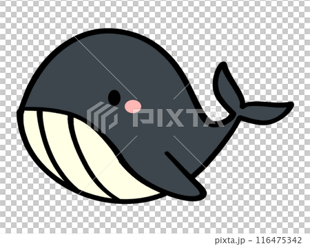 かわいいクジラのキャラクターイラスト素材 かわいいクジラのキャラクターイラスト素材 116475342