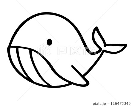 かわいいクジラのキャラクターイラスト素材 かわいいクジラのキャラクターイラスト素材 116475349